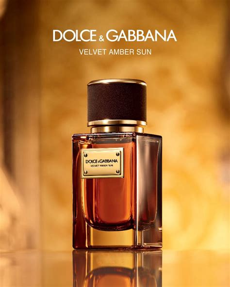 dolce and gabbana amber notes.